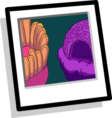 Reef Background Icon - Portable Network Graphics (454x480), Png Download