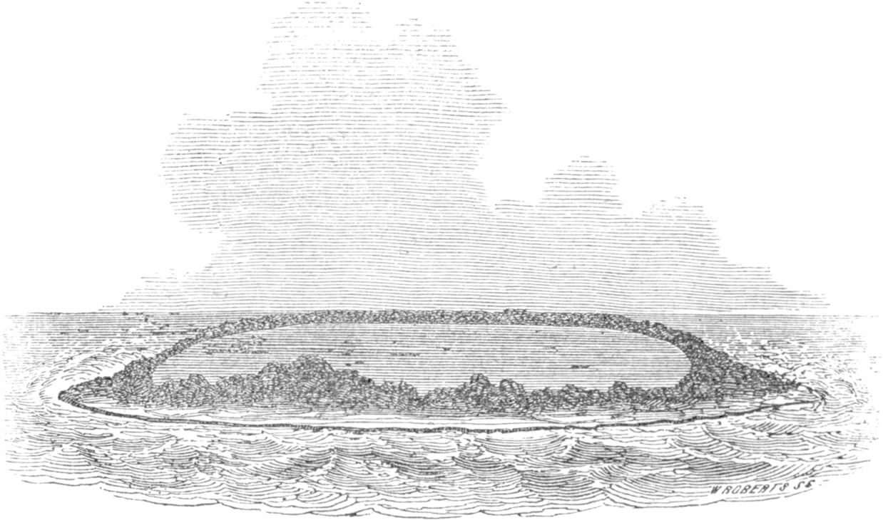 Circular Coral Reef And Lagoon, Engraving By W - Coral Reef (1280x782), Png Download