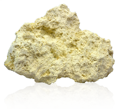 Coral Concepts - Coral Reef Rocks Png (500x455), Png Download