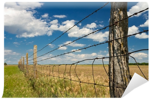 Barbed Wire Fence In Kansas Pasture Field Wall Mural - Barbed Wire Fence, Kansas P Aluminum License Plate (400x400), Png Download