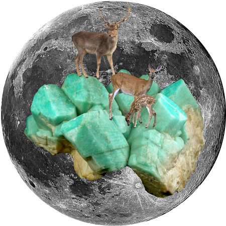 Virgo Is An Earth Sign And Today's Full Moon Is Full - Full Moon (480x480), Png Download