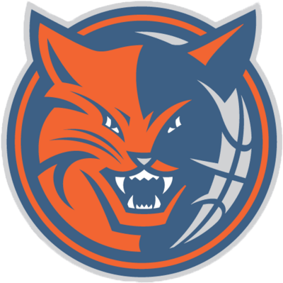 Charlotte Bobcats Logo Png (400x399), Png Download