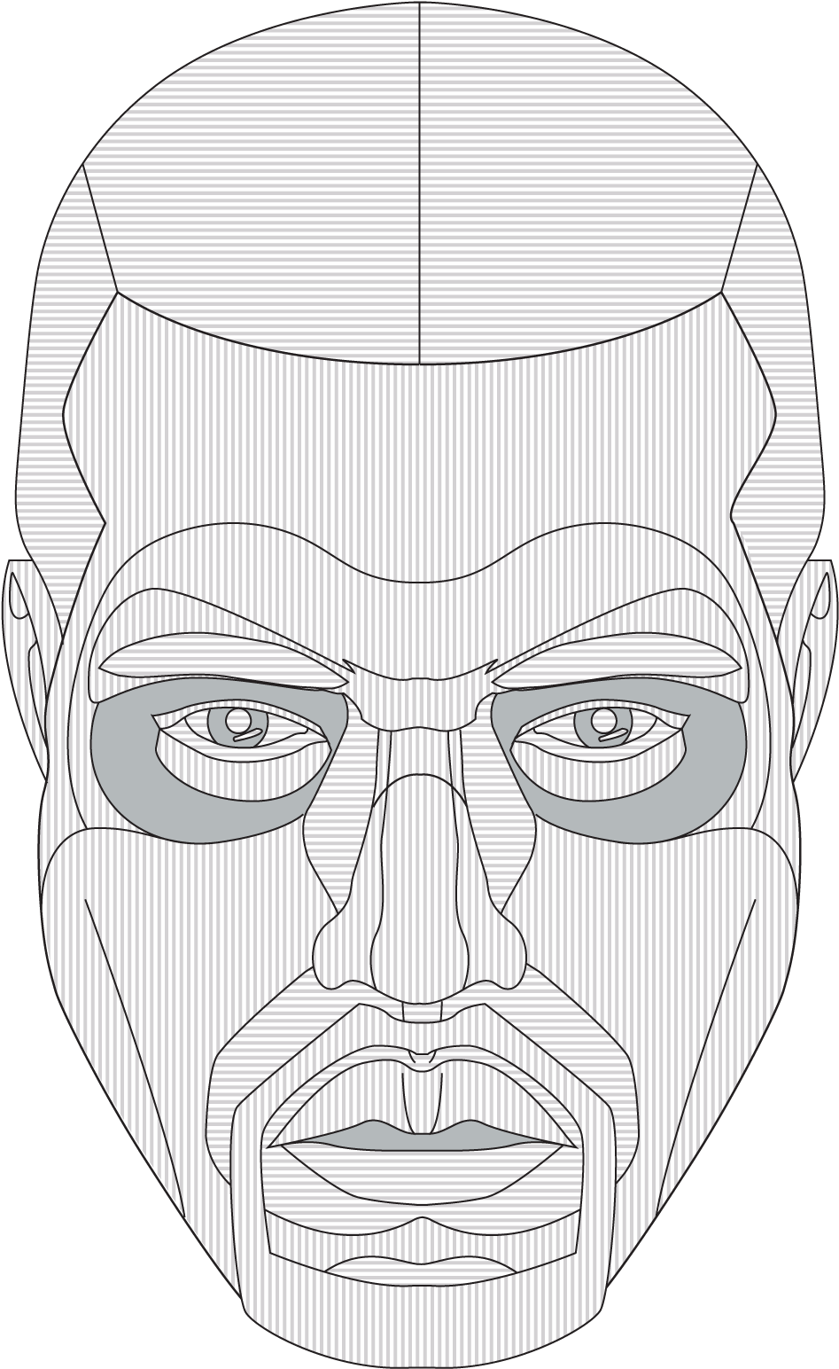 Initial Design And Assembly Guide Created In Illustrator - Illustration (1275x1650), Png Download