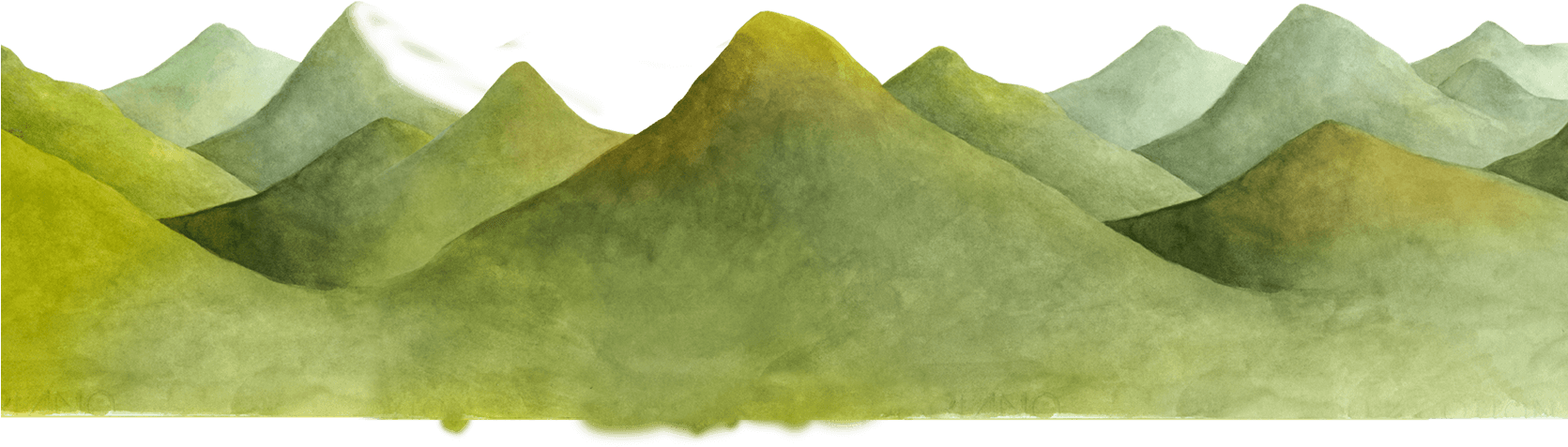 Pl / En - American Holly (1670x896), Png Download