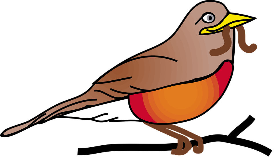 Red Robin Bird Animal - Robin Clipart Free (960x551), Png Download