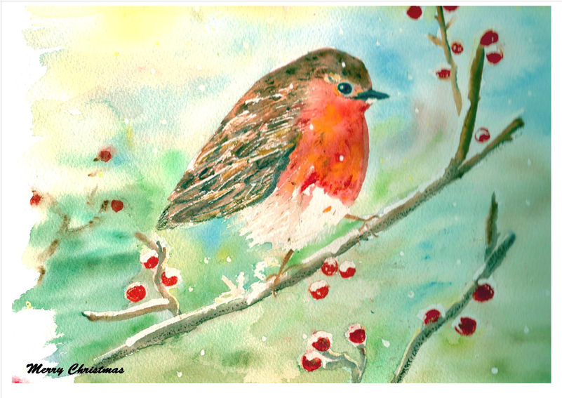 Robin-christmas - European Robin (800x800), Png Download