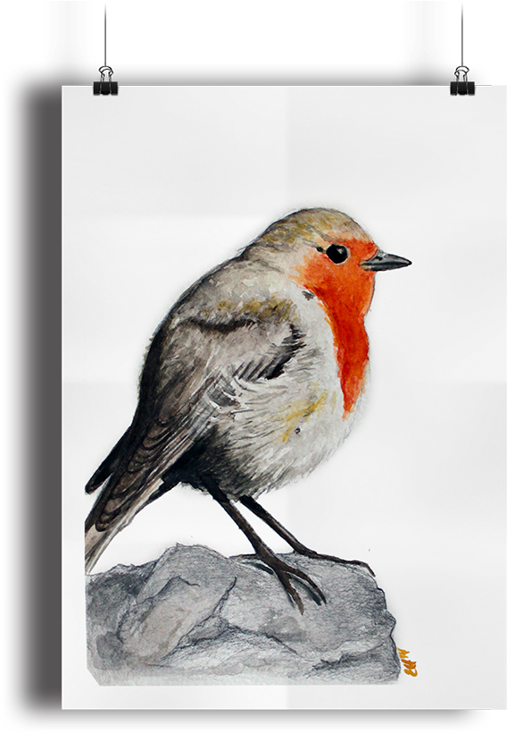 Watercolor Paintings - - European Robin (700x865), Png Download
