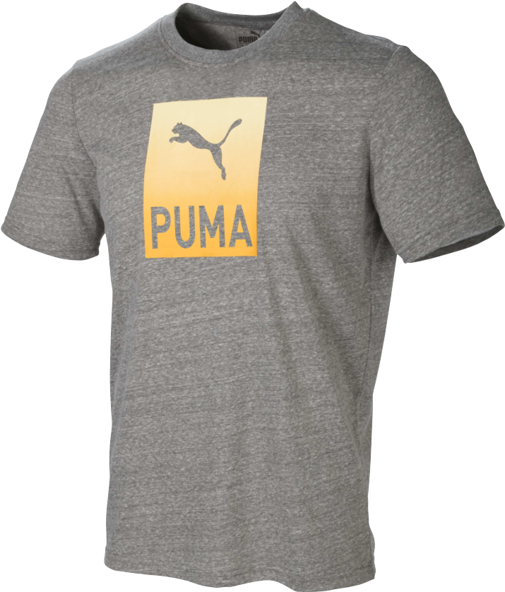 Play Loose - Puma Disc Cell Torino (926x926), Png Download