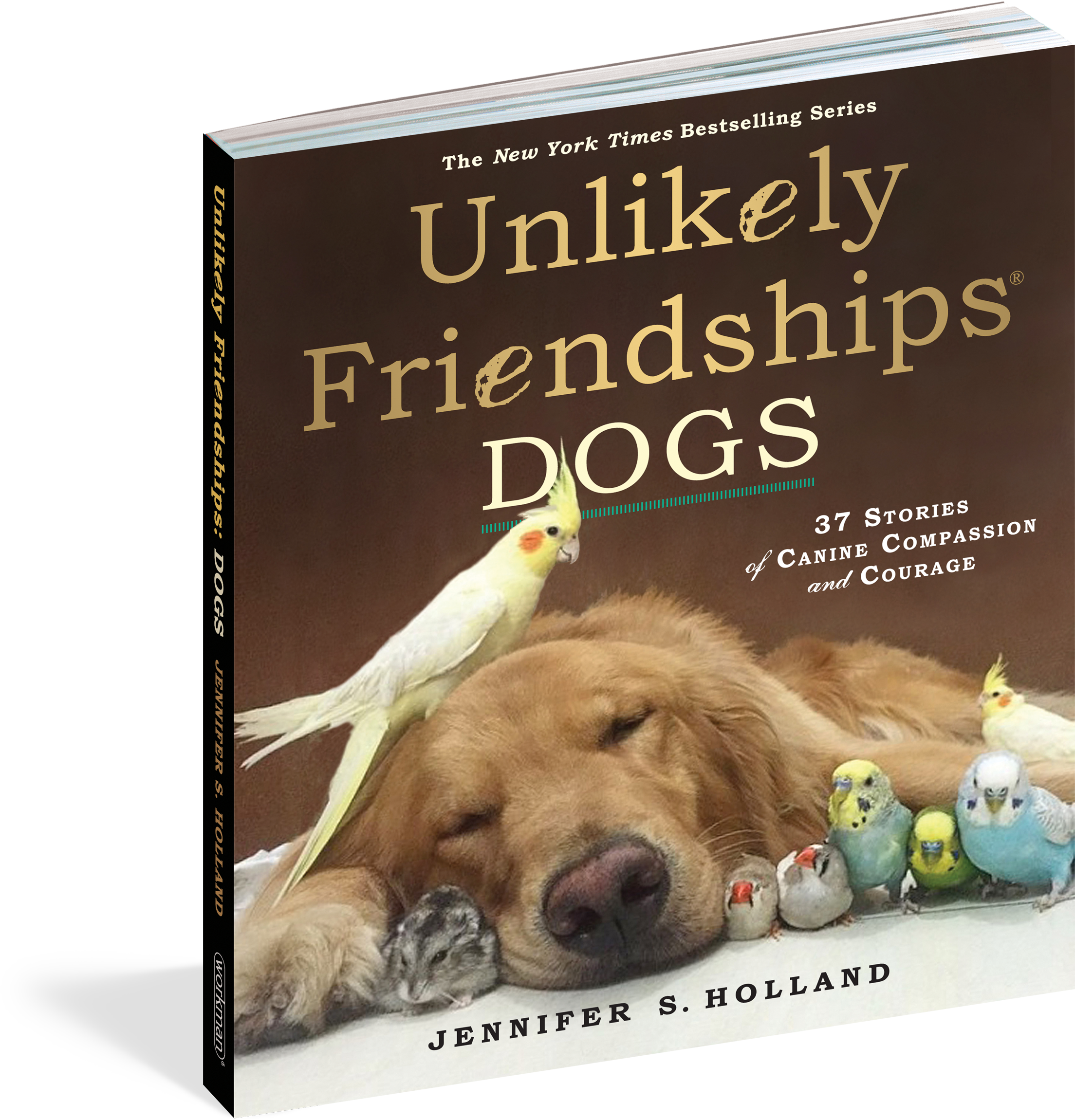 Unlikely Friendships Jennifer Holland (2400x2400), Png Download