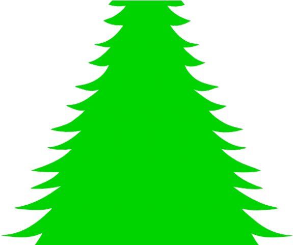 Drawn Fir Tree Green Christmas Tree - Christmas Tree (640x480), Png Download