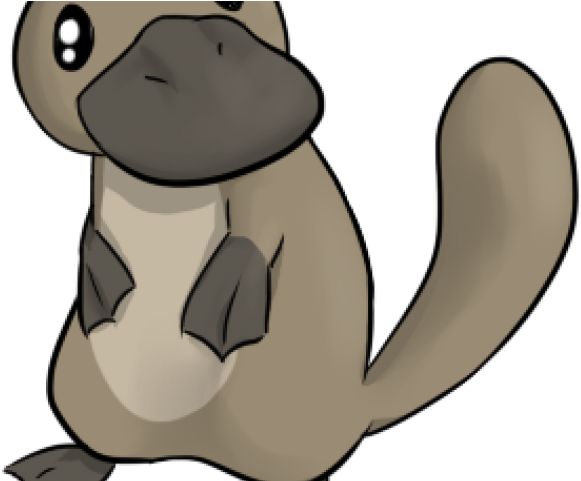 Cartoon Platypus Pictures - Platypus (640x480), Png Download
