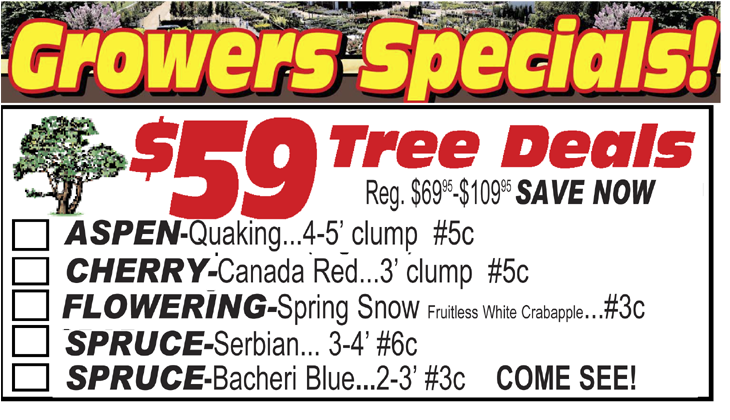 Over 210 Of The Latest Printable Coupons And Deals - Steps (800x618), Png Download