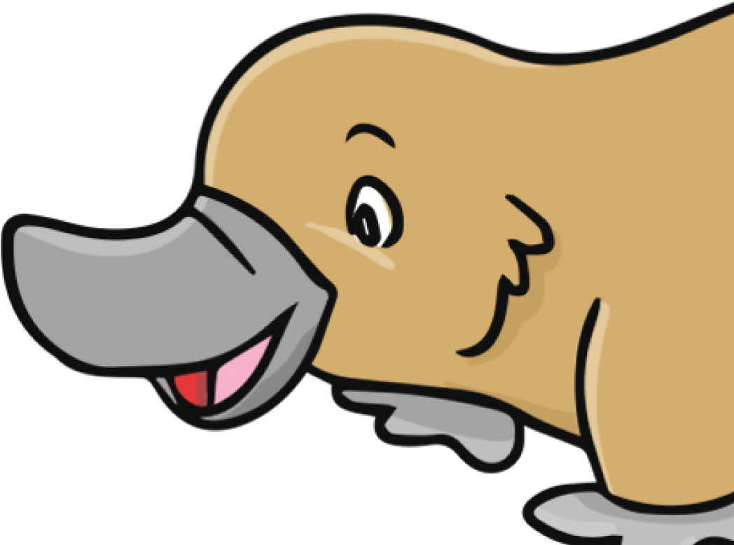 Doggie Photo Shoot (1056x831), Png Download