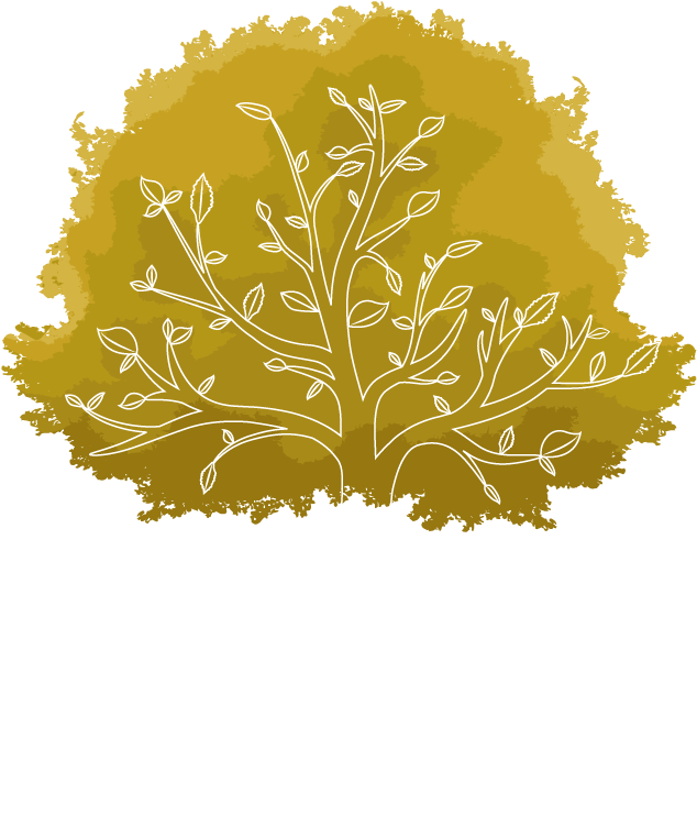 Arbol Fondo Png - Plane-tree Family (1600x768), Png Download