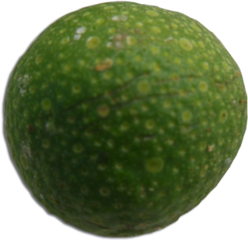Image Description - Key Lime (600x600), Png Download