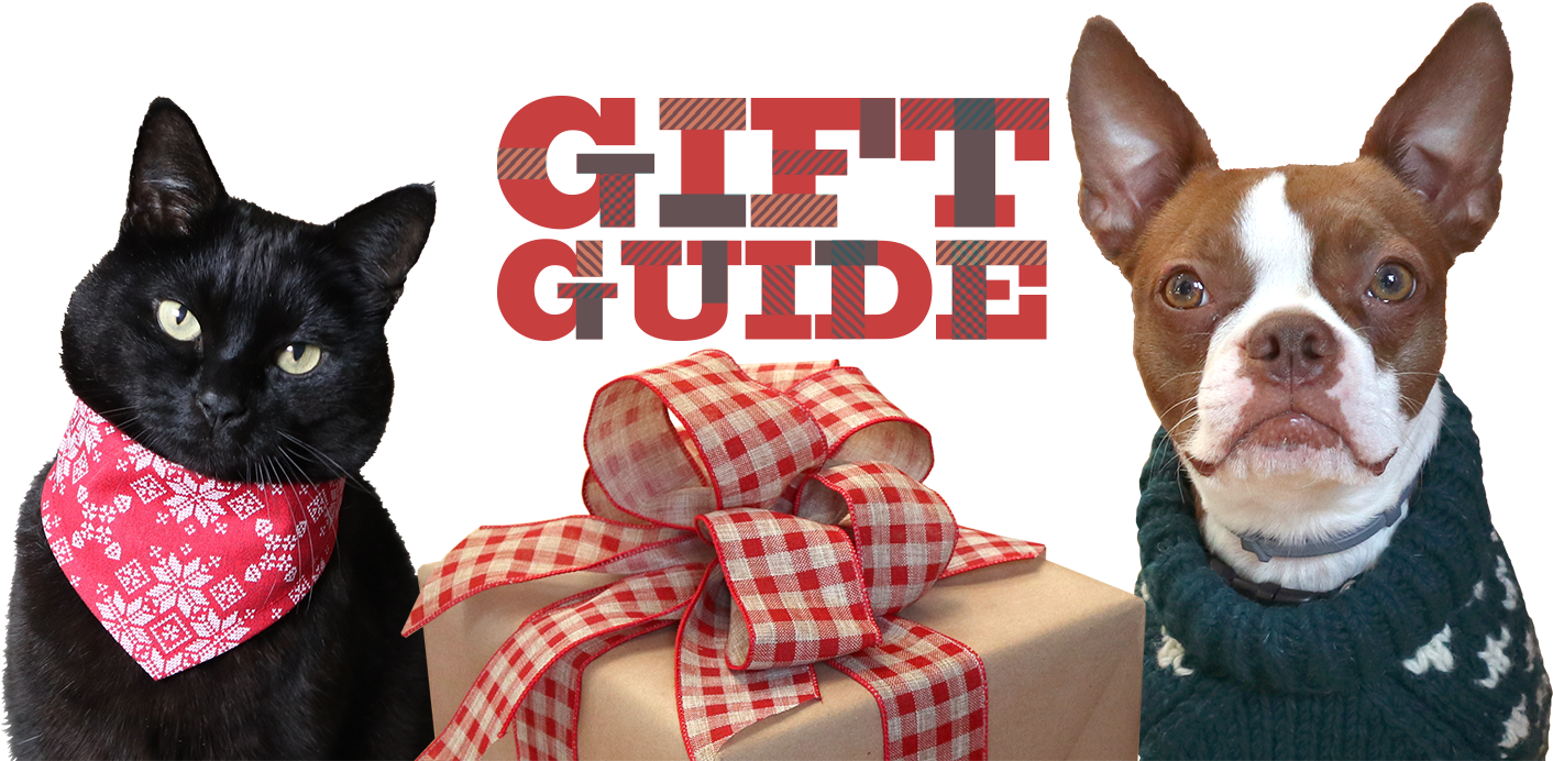 10% Off All Bowsers Beds And Mats For Dogs And Cats - Boston Terrier (1500x702), Png Download