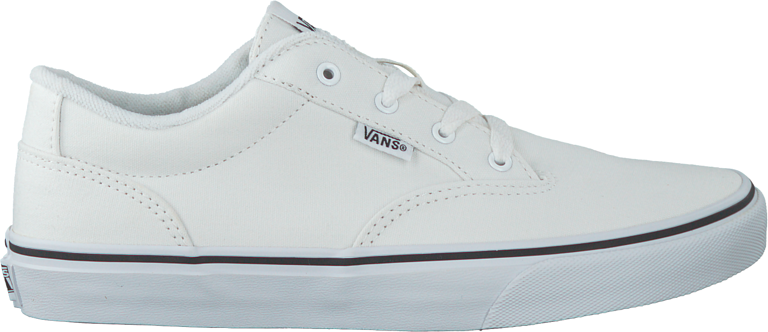 White Vans Lace Ups Winston Kids Png Kid White Vans - Skate Shoe (1500x664), Png Download