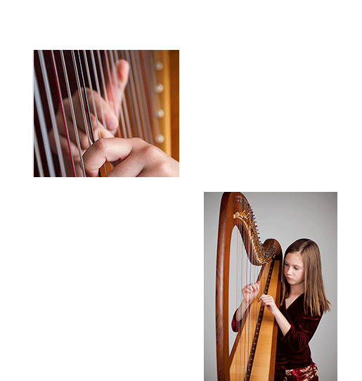 Guitarist (600x600), Png Download