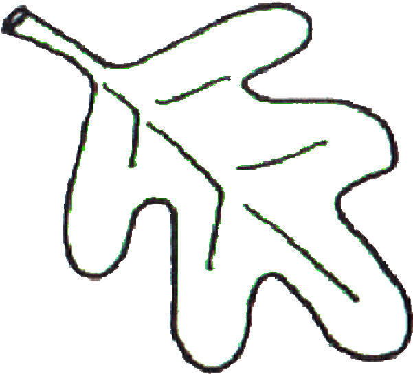 Png Free Download Template Go Back Gallery For Leaves - Oak Leaf Clip Art Black And White (600x600), Png Download