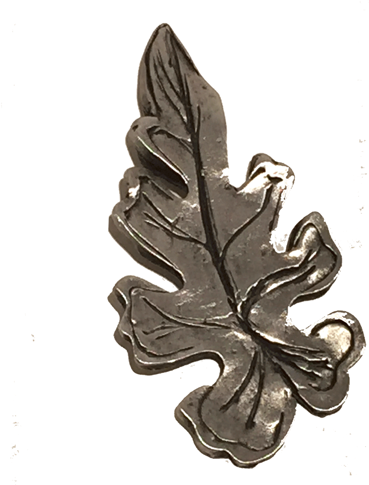 Leaf Magnet Set - Brooch (1000x1000), Png Download
