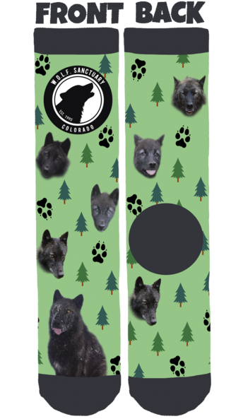 W - O - L - F - Sanctuary Crew Socks - Lgr Socks (600x600), Png Download