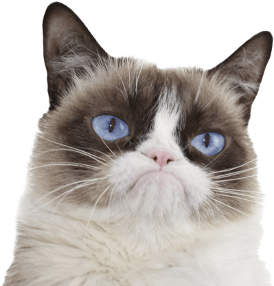 Grumpy Cat Clipart Background - Grumpy Cat Hiss Meme (640x480), Png Download