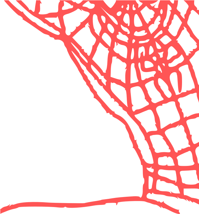 This Png File Is About Animal , Spider , Web , Corner (655x800), Png Download