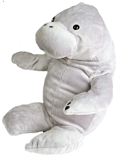 Teddy Bear (520x600), Png Download