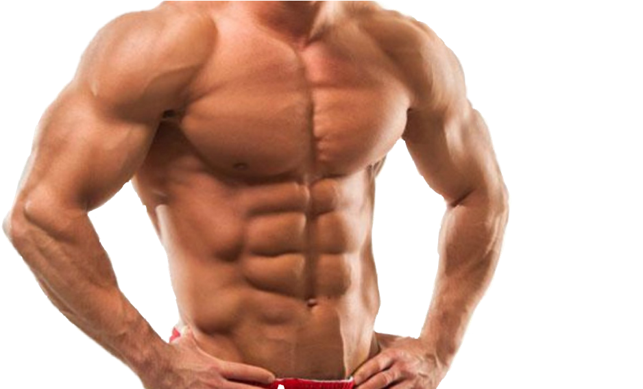 Muscle Sticker - Muscle Body (1024x567), Png Download