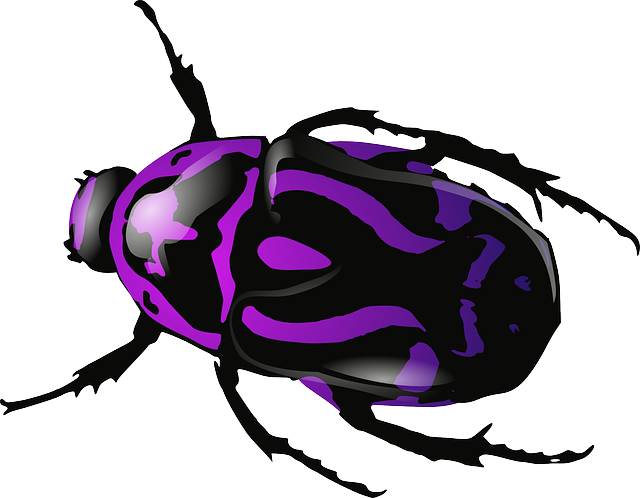 Beetle-34373 640 - Purple Insect (640x498), Png Download