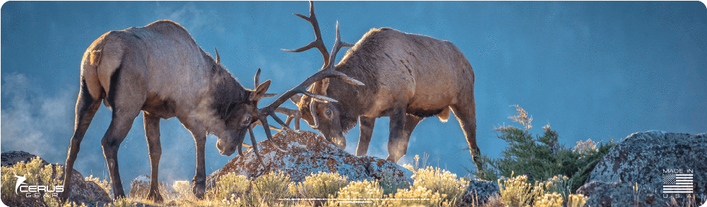 Elk Rut Magnum Xxl Promat - Elk (1000x1000), Png Download