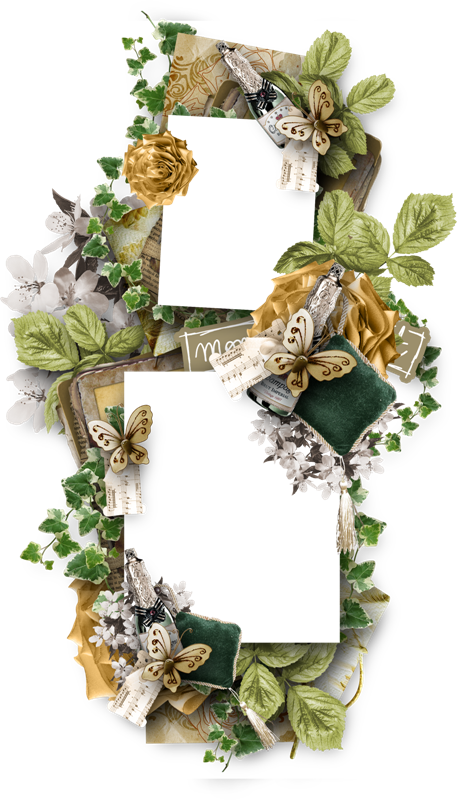 B *✿* Png Photo, Frame Background, Christmas Frames, - Picture Frame (457x800), Png Download