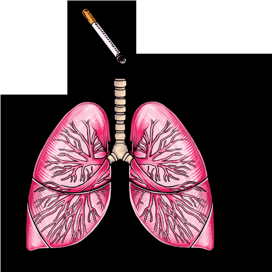 A Dangerous Transformation - Earrings (902x627), Png Download