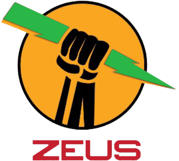 First Ecomining - Zeus Ico (617x557), Png Download