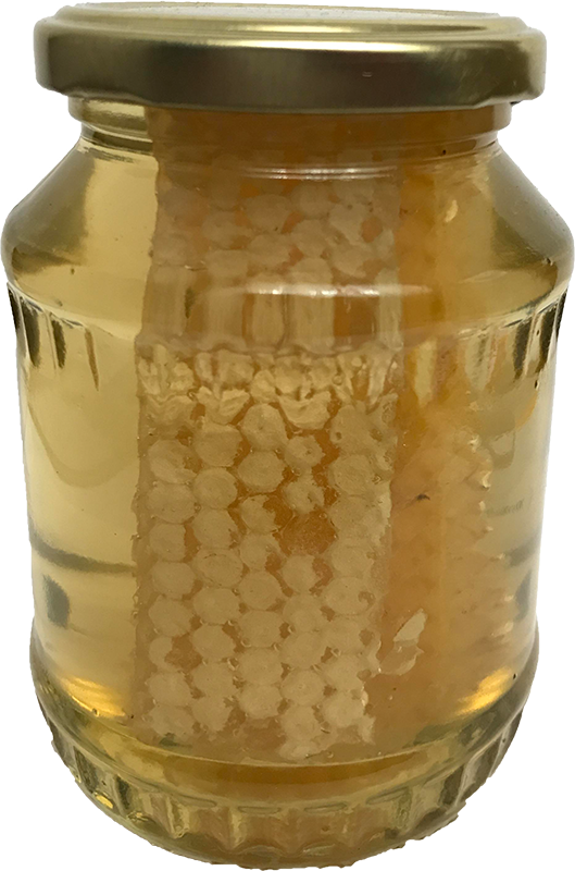 Acacia Honey - Honeycomb In Bottle (529x800), Png Download