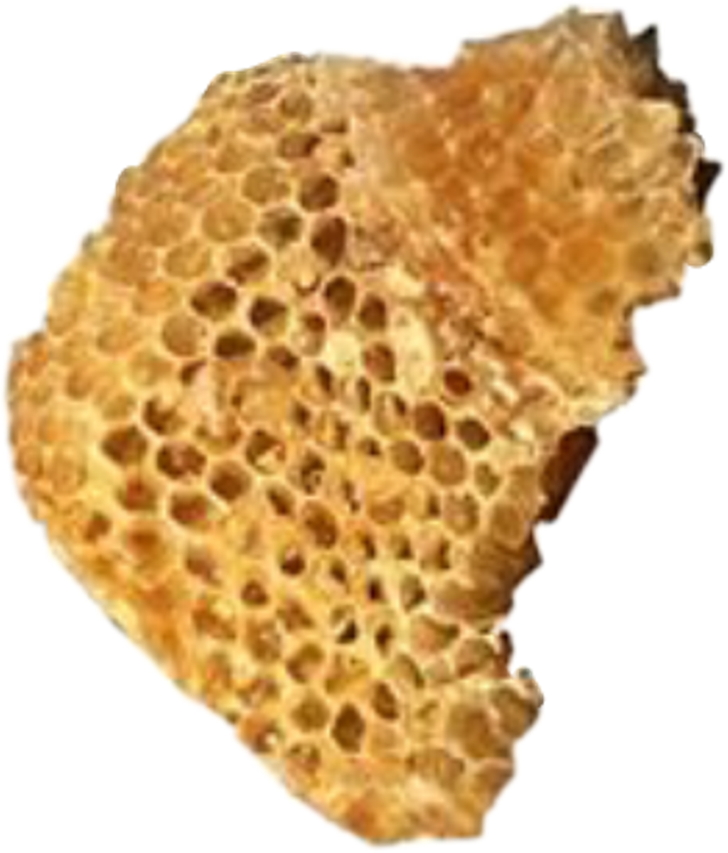 Moodboard Sticker - Honeycomb (1024x1200), Png Download