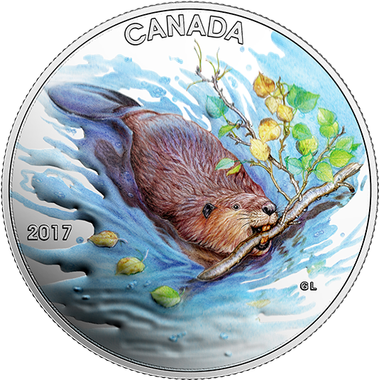 X159891 Rev-570 - Canada 150 Beaver (570x570), Png Download