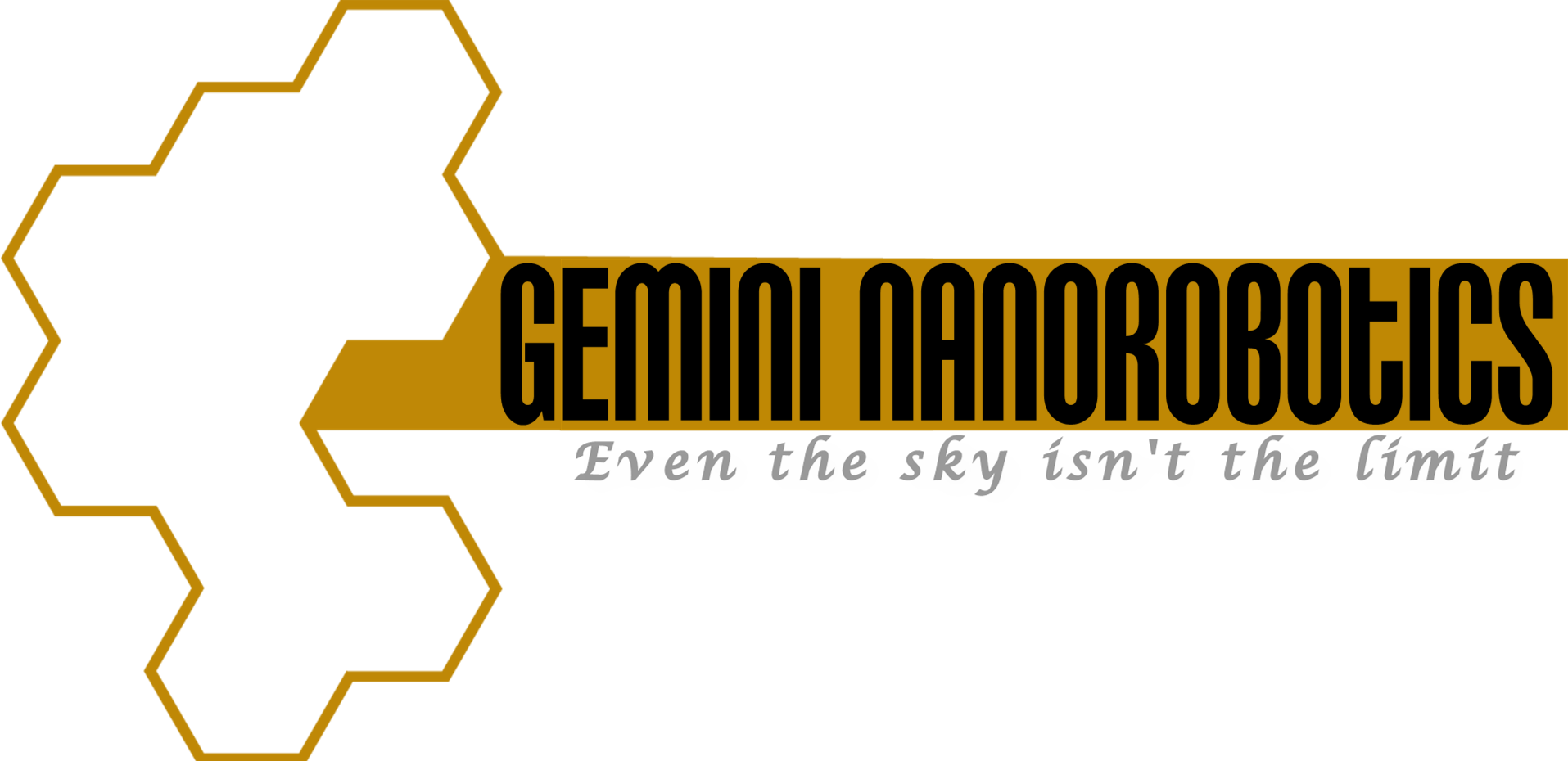 Gemini Nanorobotics Logo V1 (1915x930), Png Download