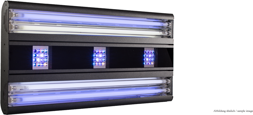 Marine Aquarium (1200x400), Png Download