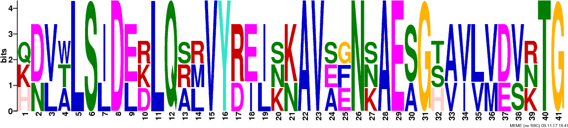 Png Logos Require Convert From Imagemagick - Graphic Design (1181x294), Png Download