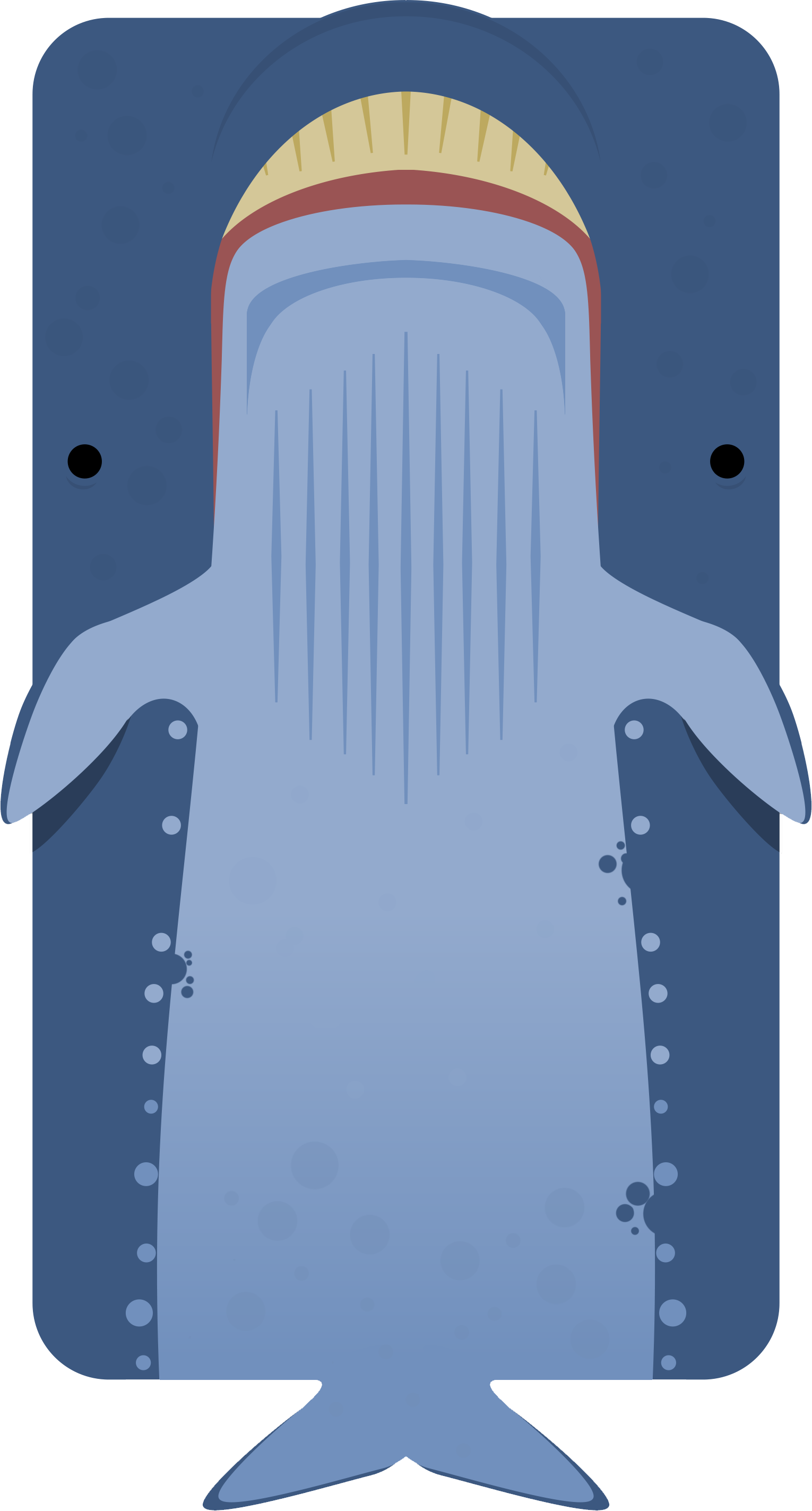 Animalblue Whale - Deeeep Io Blue Whale (1530x2847), Png Download