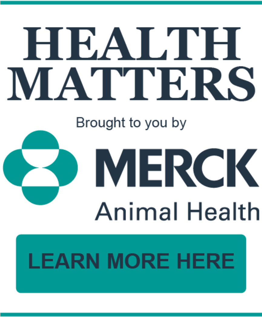 Merck Health Matters Badge - Merck & Co (864x1200), Png Download