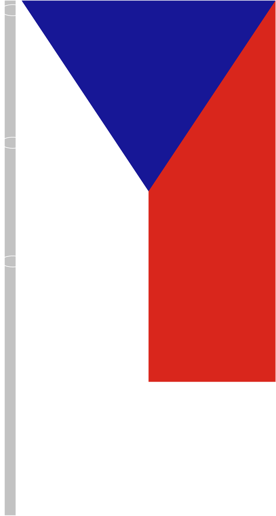 Czech Republic Flag Vertical (1181x1772), Png Download