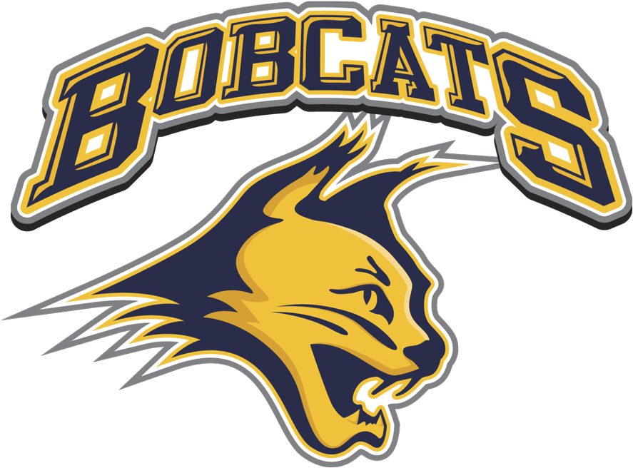 7225 West Harrison Street - Arizona Bobcats Hockey Logo (1024x1024), Png Download