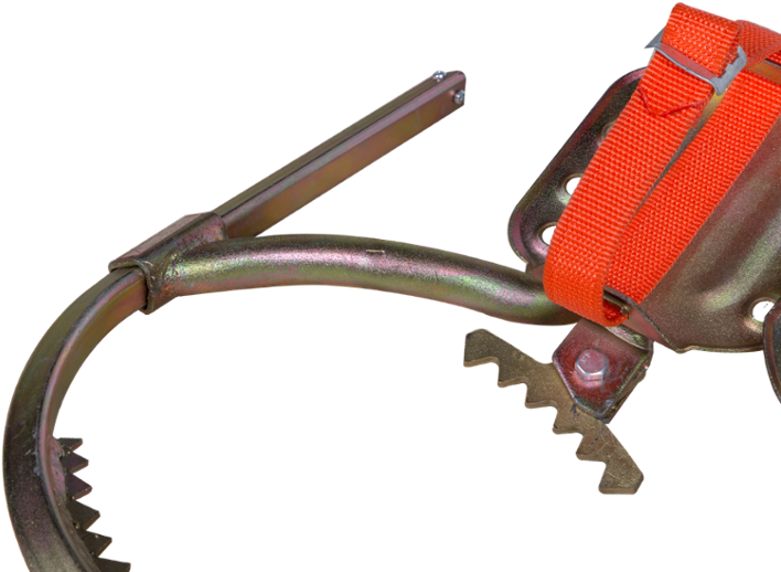 Wood Pole Climber Tree Climbing Shoes With Sharp Teeth - Insect (1000x667), Png Download