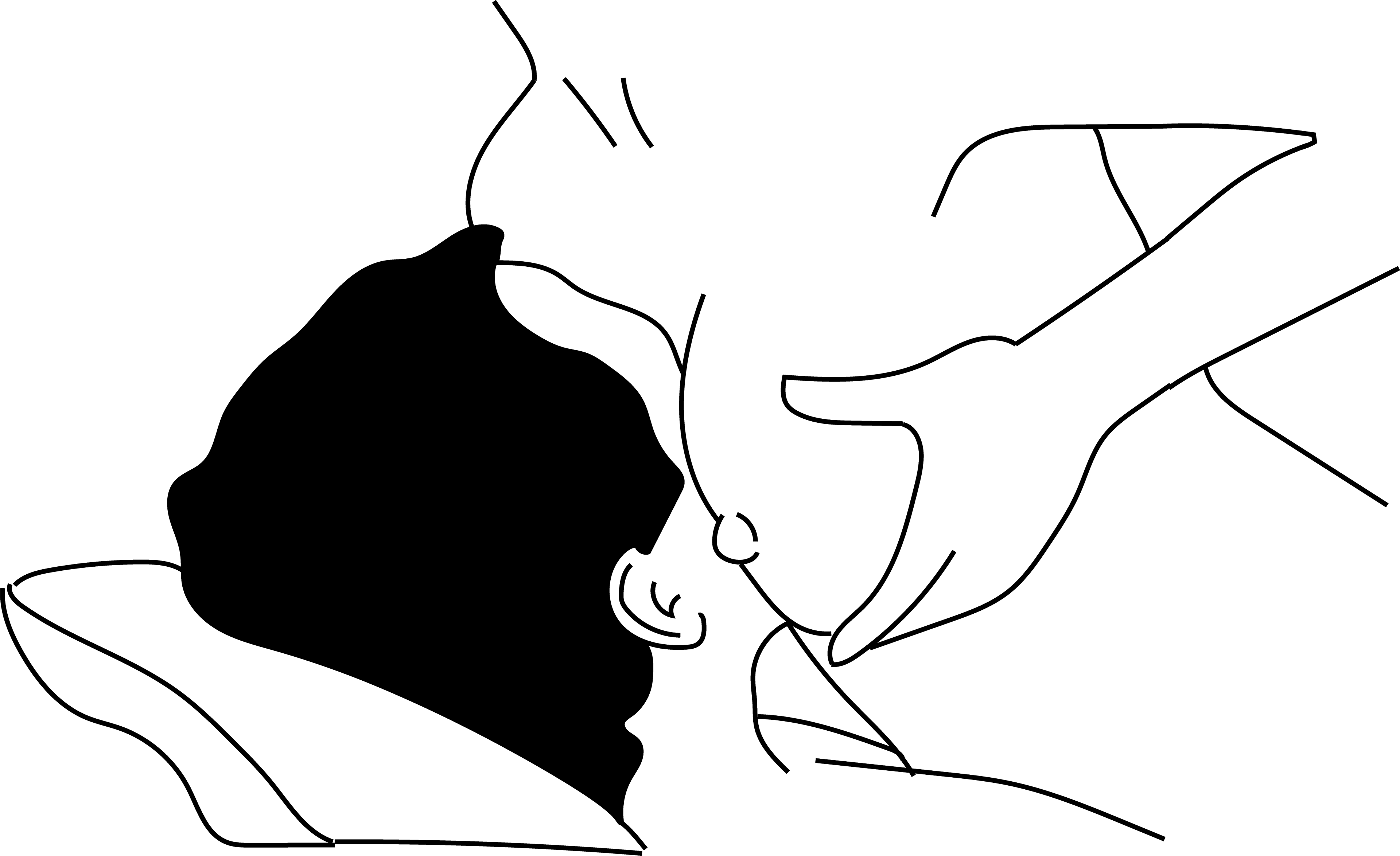 Boob (3840x2349), Png Download