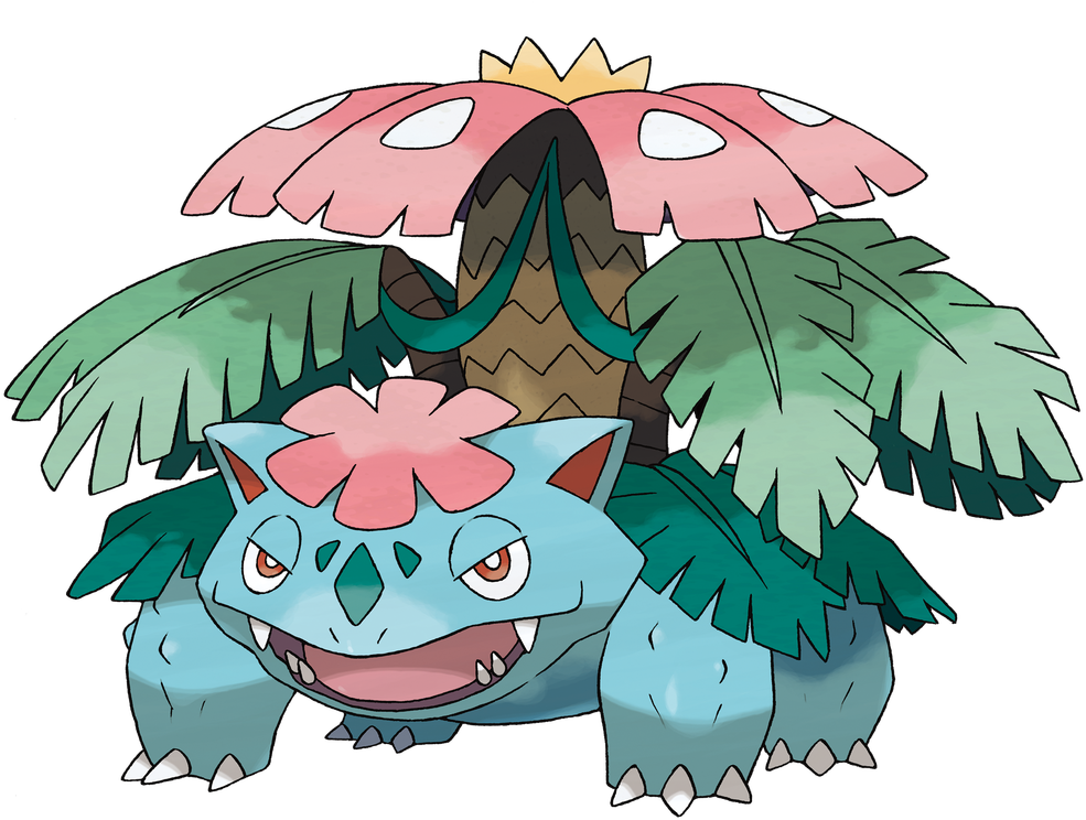 Her Team Consists Of Venusaur, Nidoqueen, Alakazam, - Pokemon Mega Evolution Venusaur (1045x800), Png Download