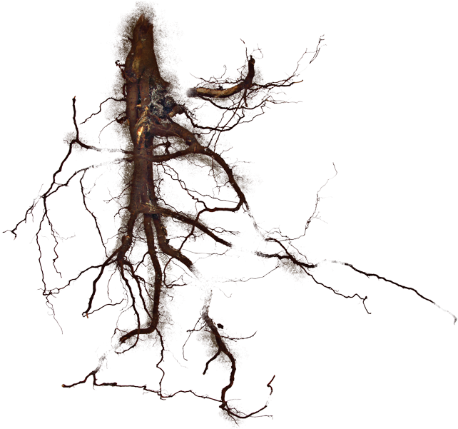 Munich Is Built On Gravel The Munich Gravel Plain Developed - Sketch (659x600), Png Download