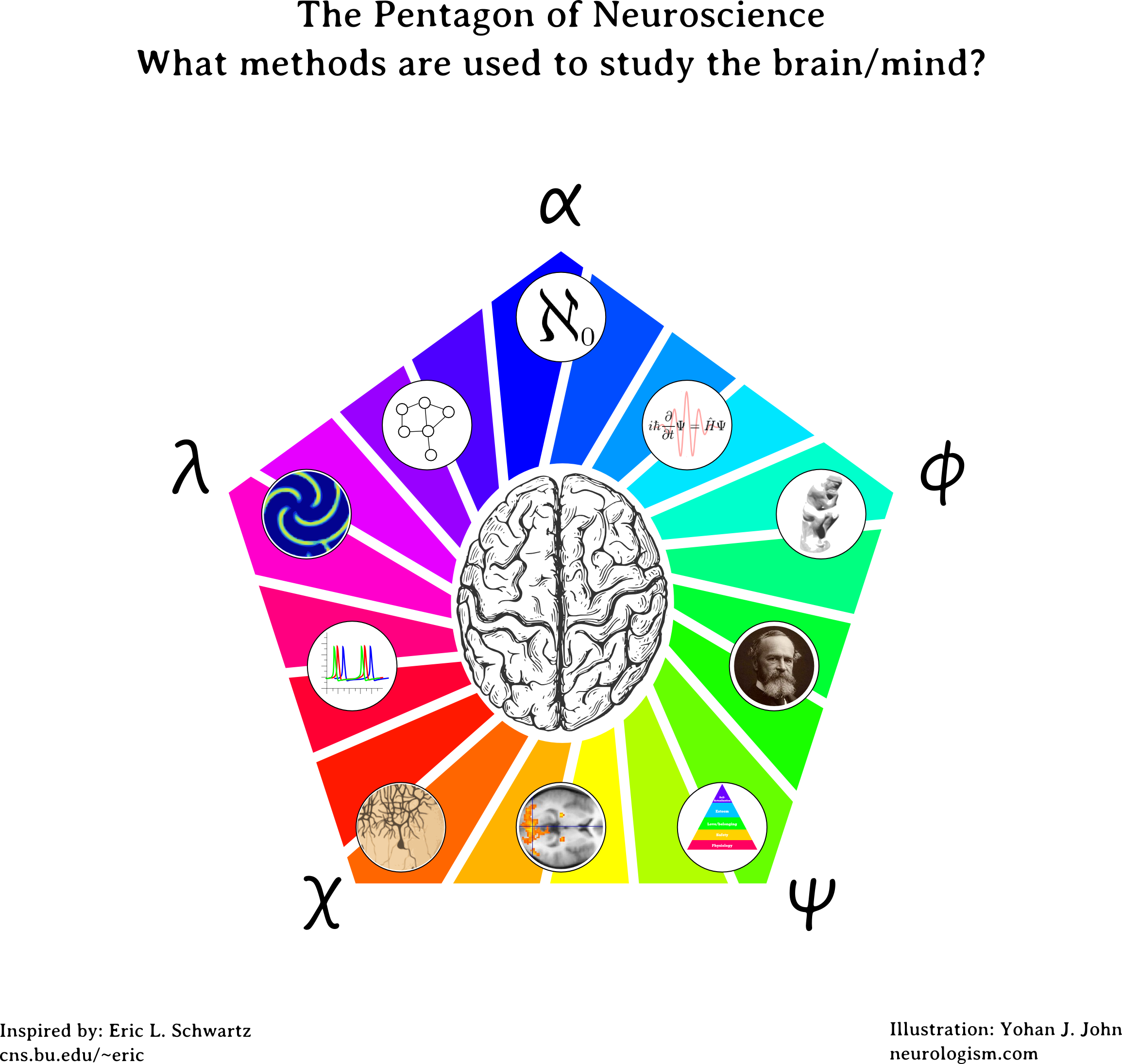 Neurogreek - Pentagon Of Neuroscience (2310x2191), Png Download
