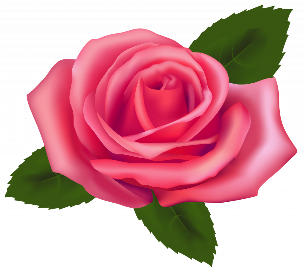 Download Pink Rose Clip Art - Pink Rose Clipart Png (1024x911), Png Download